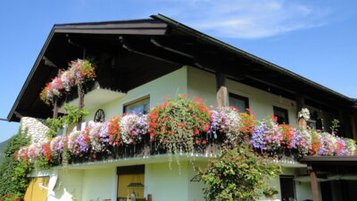 Vorschaubild: © OGV Bad Reichenhall
