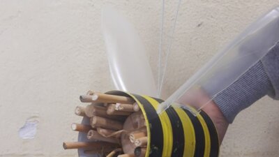 Vorschaubild der Galerie