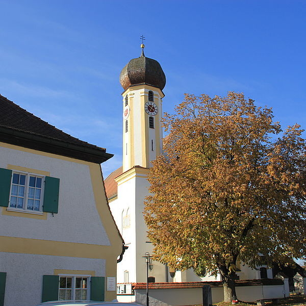 Bild der Galerie