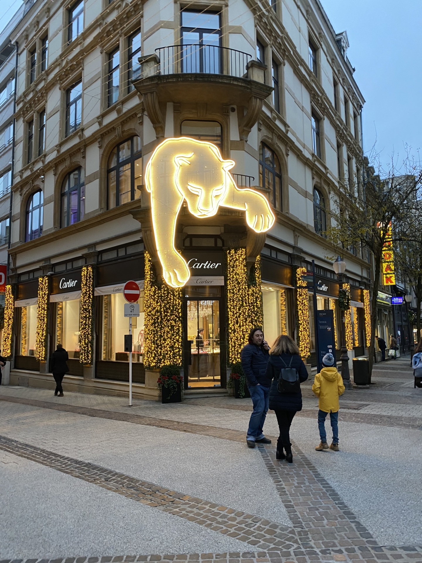 Bild der Galerie
