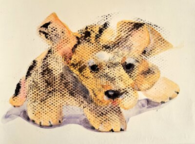 Vorschaubild: Malteser, 30x40cm Skizze