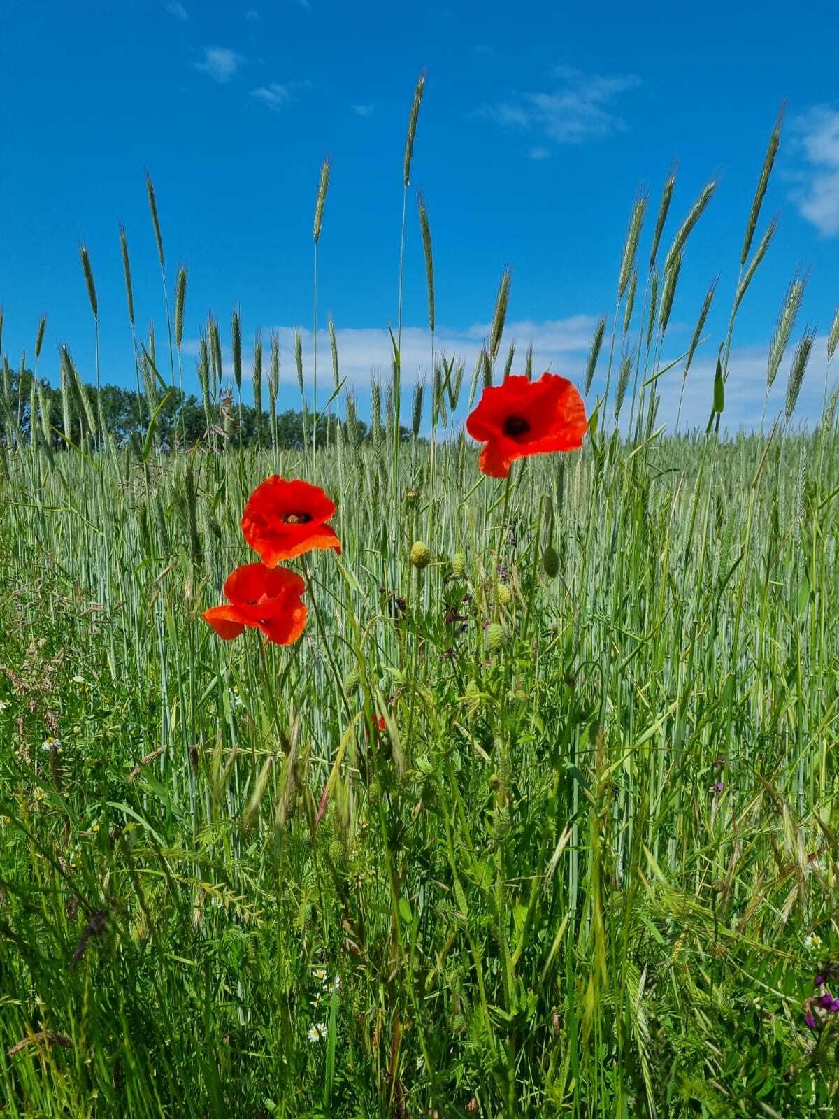 Foto der Galerie: Bilder