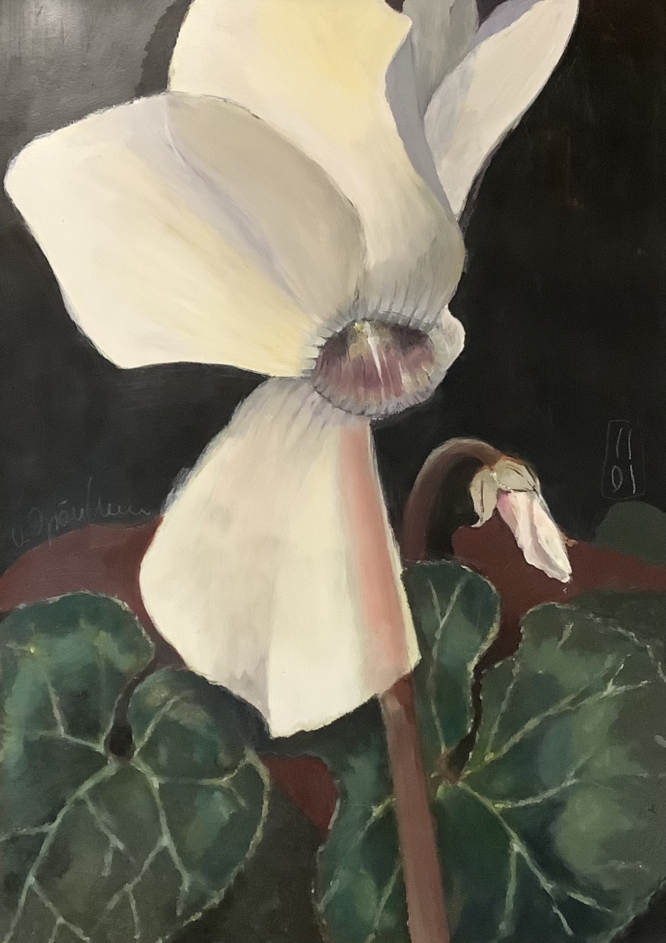 Bild: Andenken Alpenveilchen, 70x100cm Acryl auf MDF