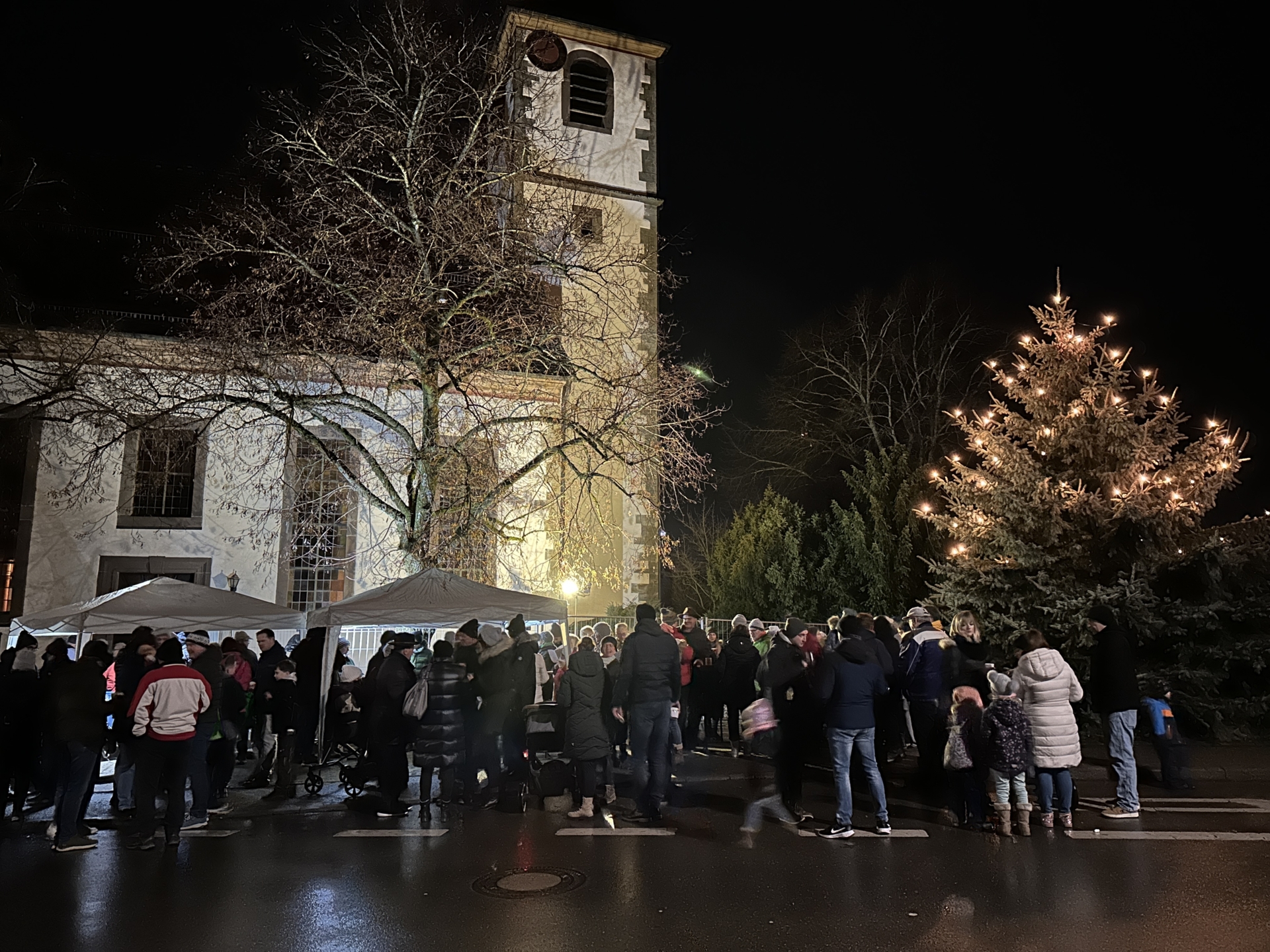 Foto der Galerie: Singen unterm Weihnachtsbaum 2024