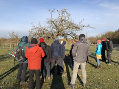 Vorschaubild: Kursgruppe bei der Streuobstpflege auf einer Wiese im Naturpark Nuthe-Nieplitz