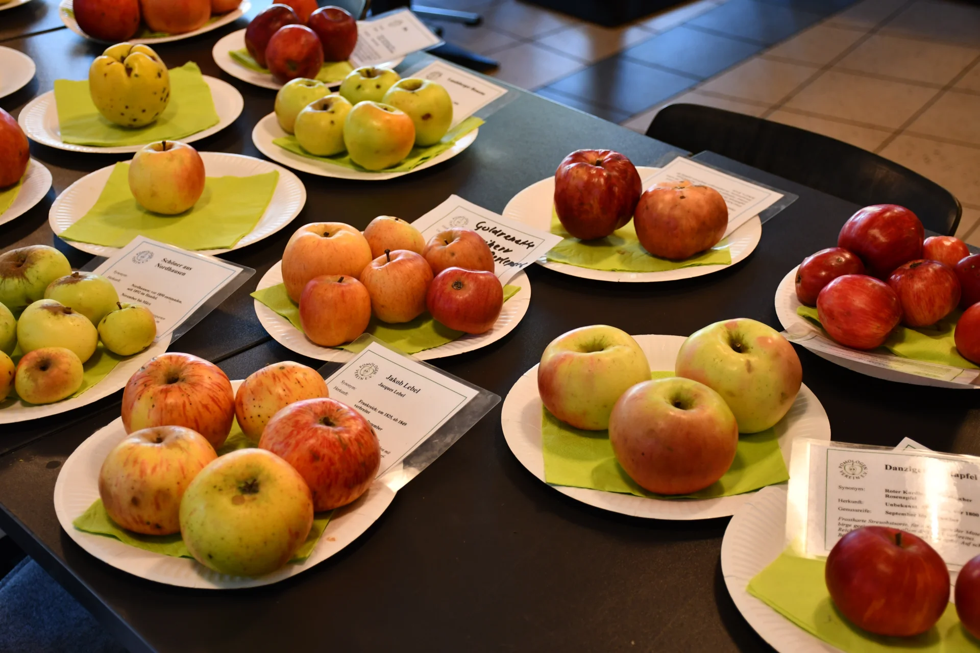 Bild: Reife Äpfel gepflückt von einer Streuobstwiese in Brandenburg