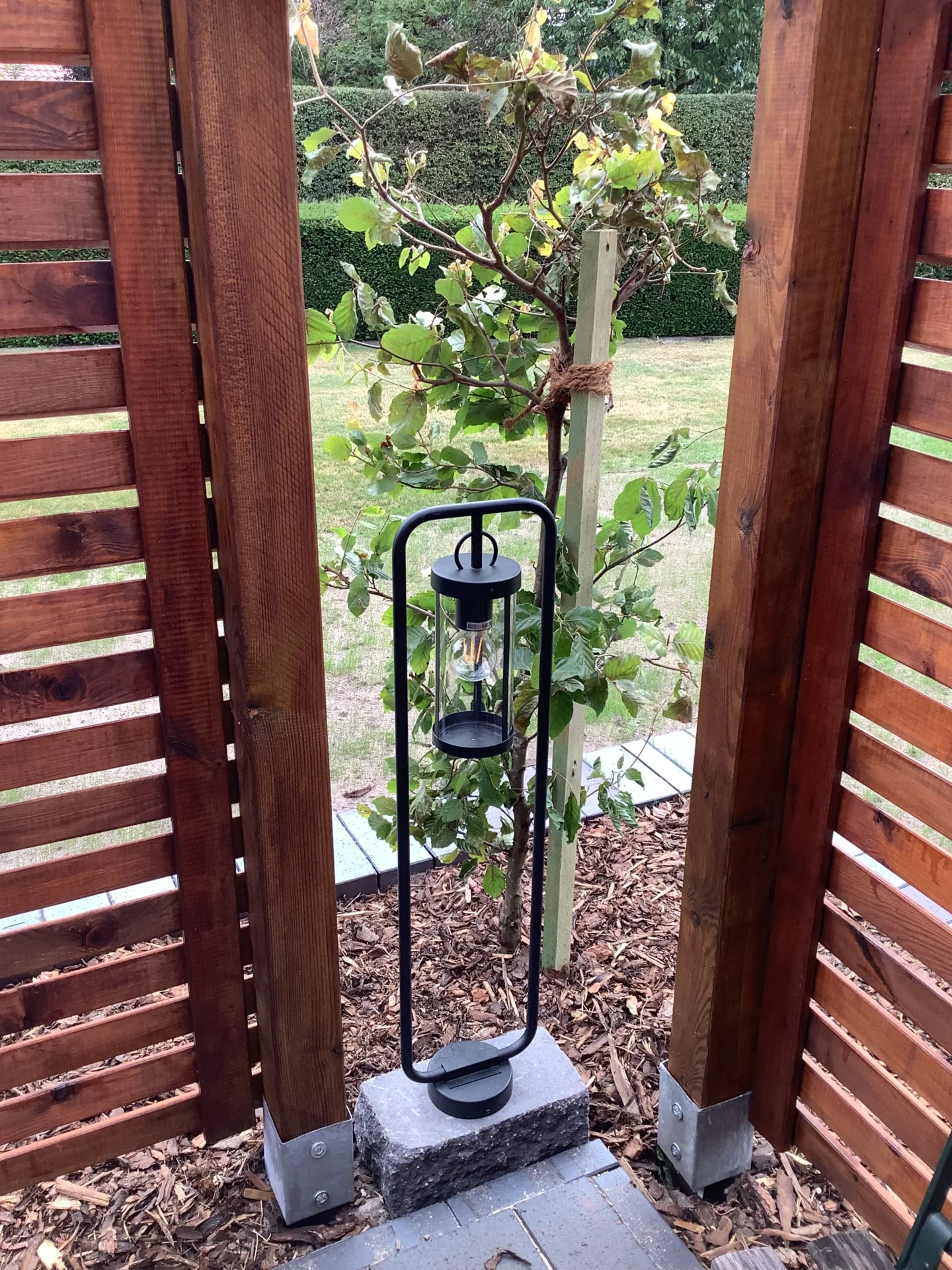 Bild: Terrasse 1