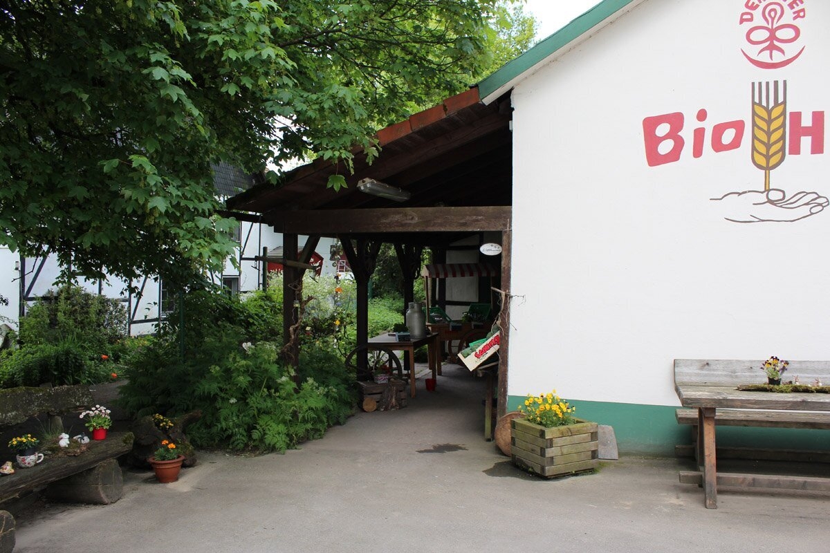 Bild der Galerie