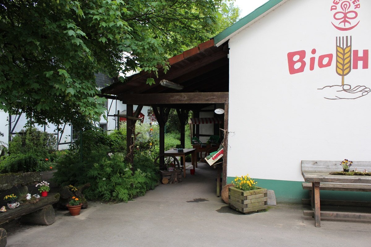 Bild der Galerie