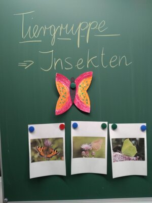 Vorschaubild: Bildung