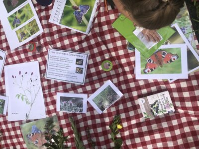 Vorschaubild: MINTmachtag Hort Reichenbach