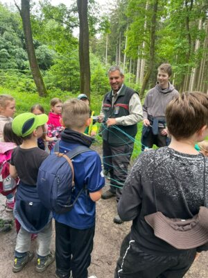 Vorschaubild: Ameisenstaat