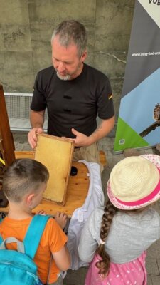 Vorschaubild: Bienen