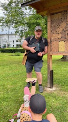 Vorschaubild: Bienen