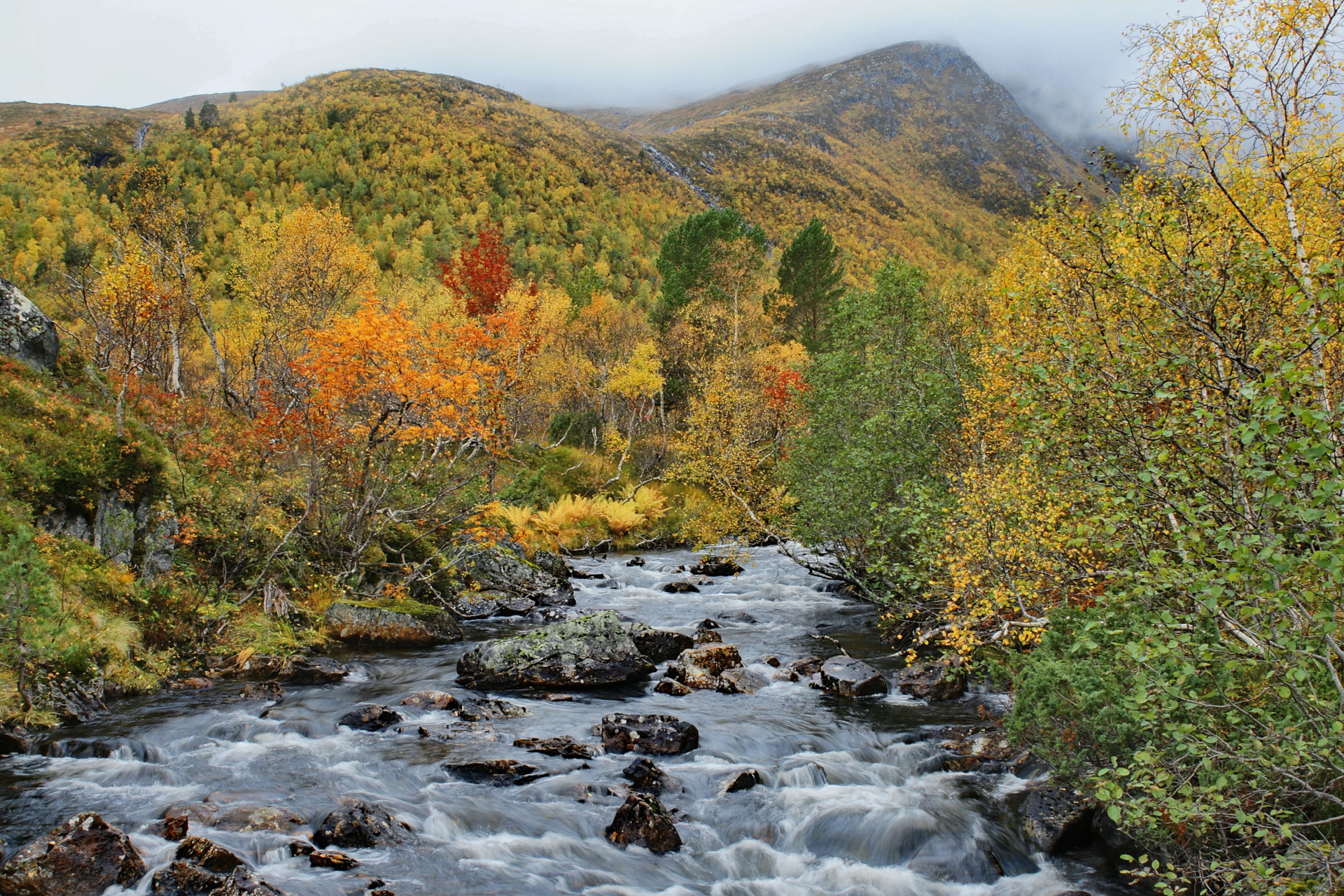 Gebirgsbach Norway  (Bild vergr&ouml;&szlig;ern)