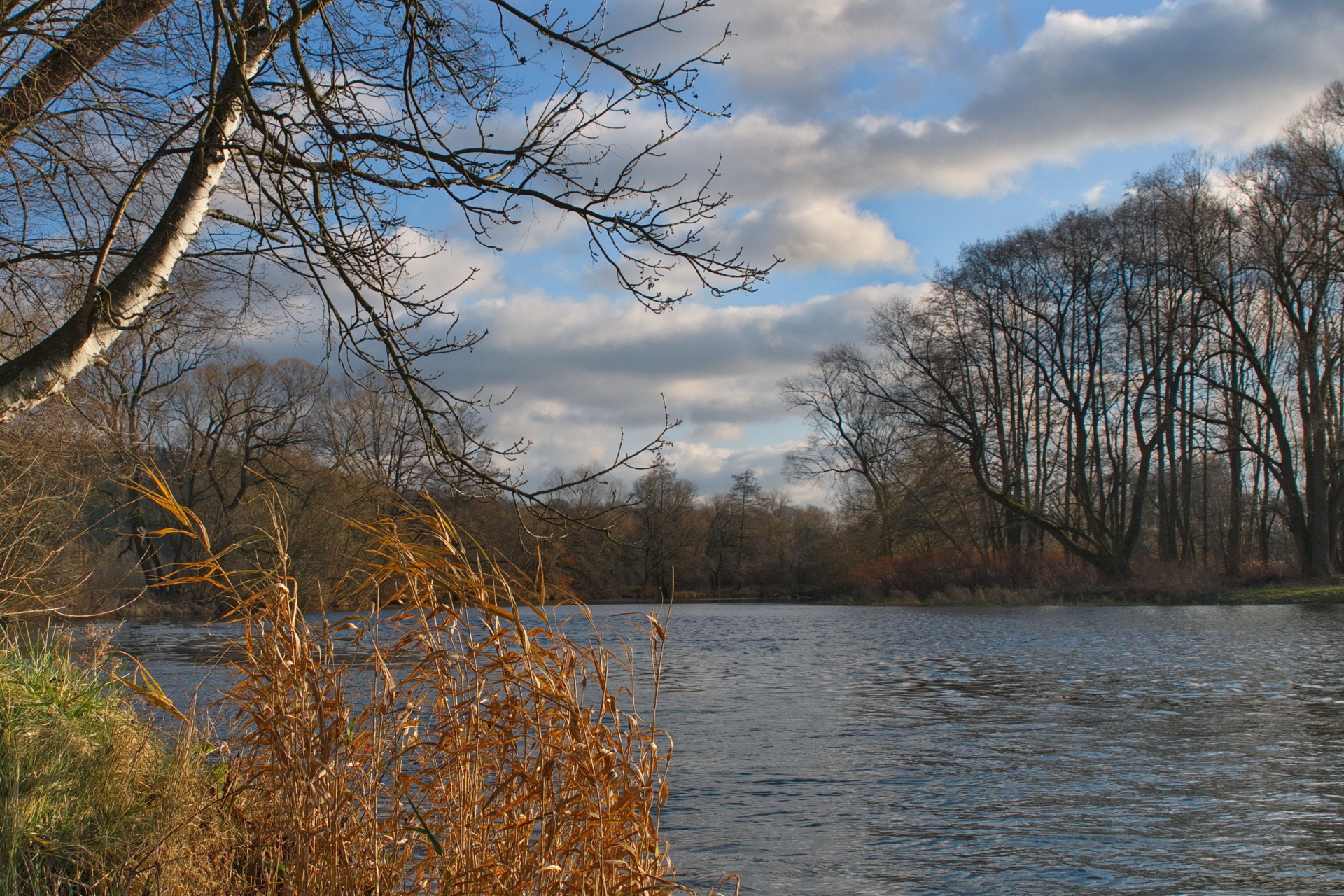 Zschopau Wehrteich Sachsenburg  (Bild vergr&ouml;&szlig;ern)