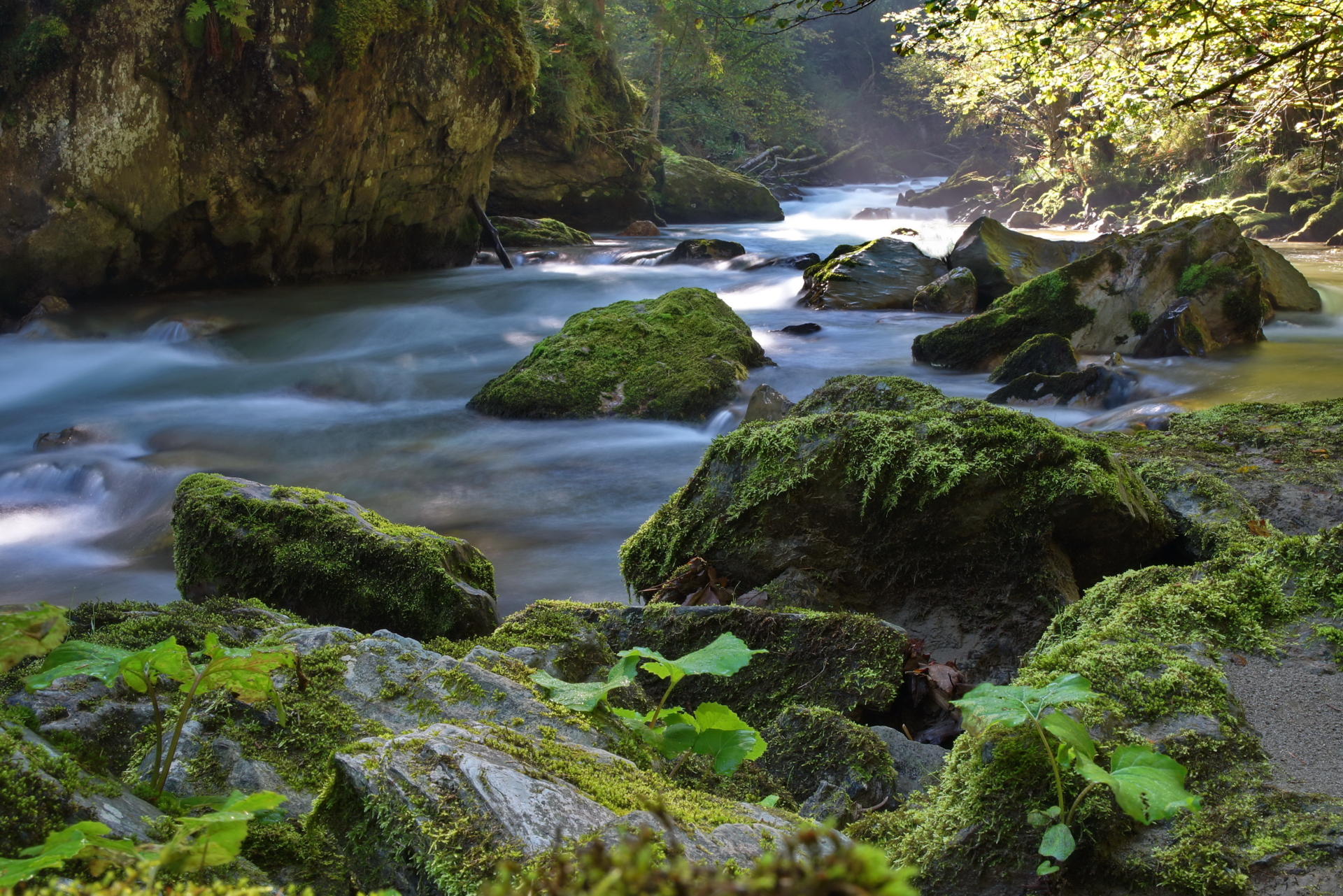 die Gurk in K&auml;rnten  (Bild vergr&ouml;&szlig;ern)