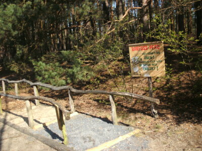 Vorschaubild: Barfußpfad
