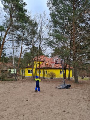 Vorschaubild: Basketballkorb