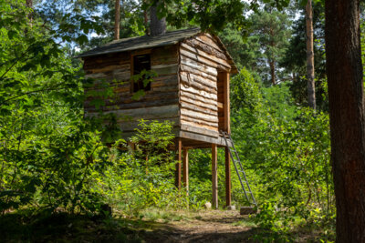 Vorschaubild: Hütte