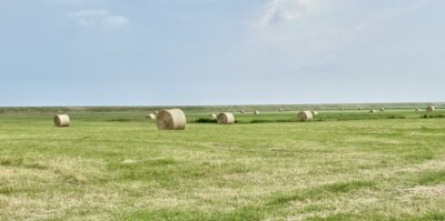 Vorschaubild: Dänemark 11