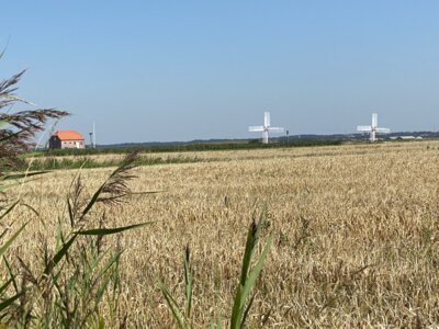 Vorschaubild: Dänemark 9