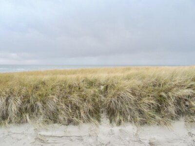 Vorschaubild: Sylt 2