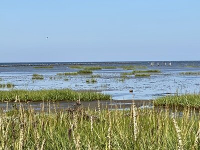 Vorschaubild: Sylt List 10