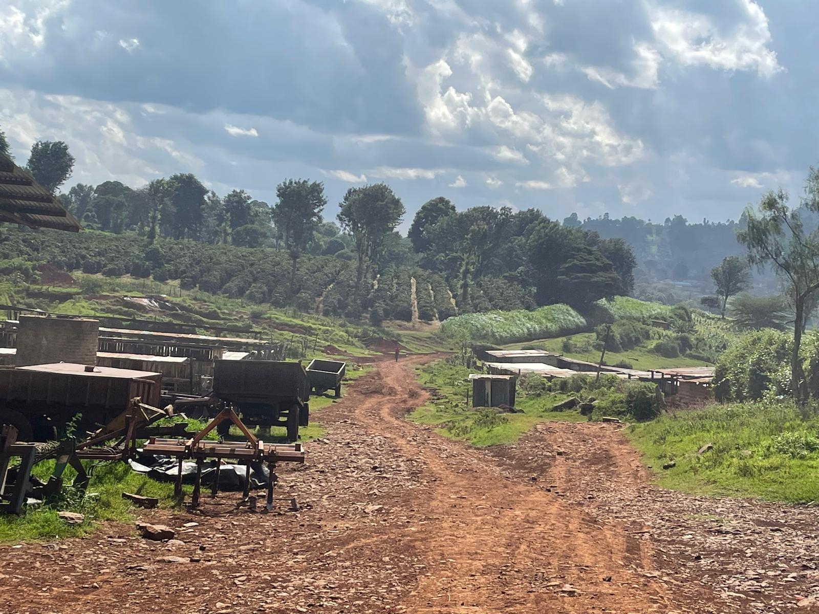 WhatsApp Image 2025-02-09 at 15 51 26 