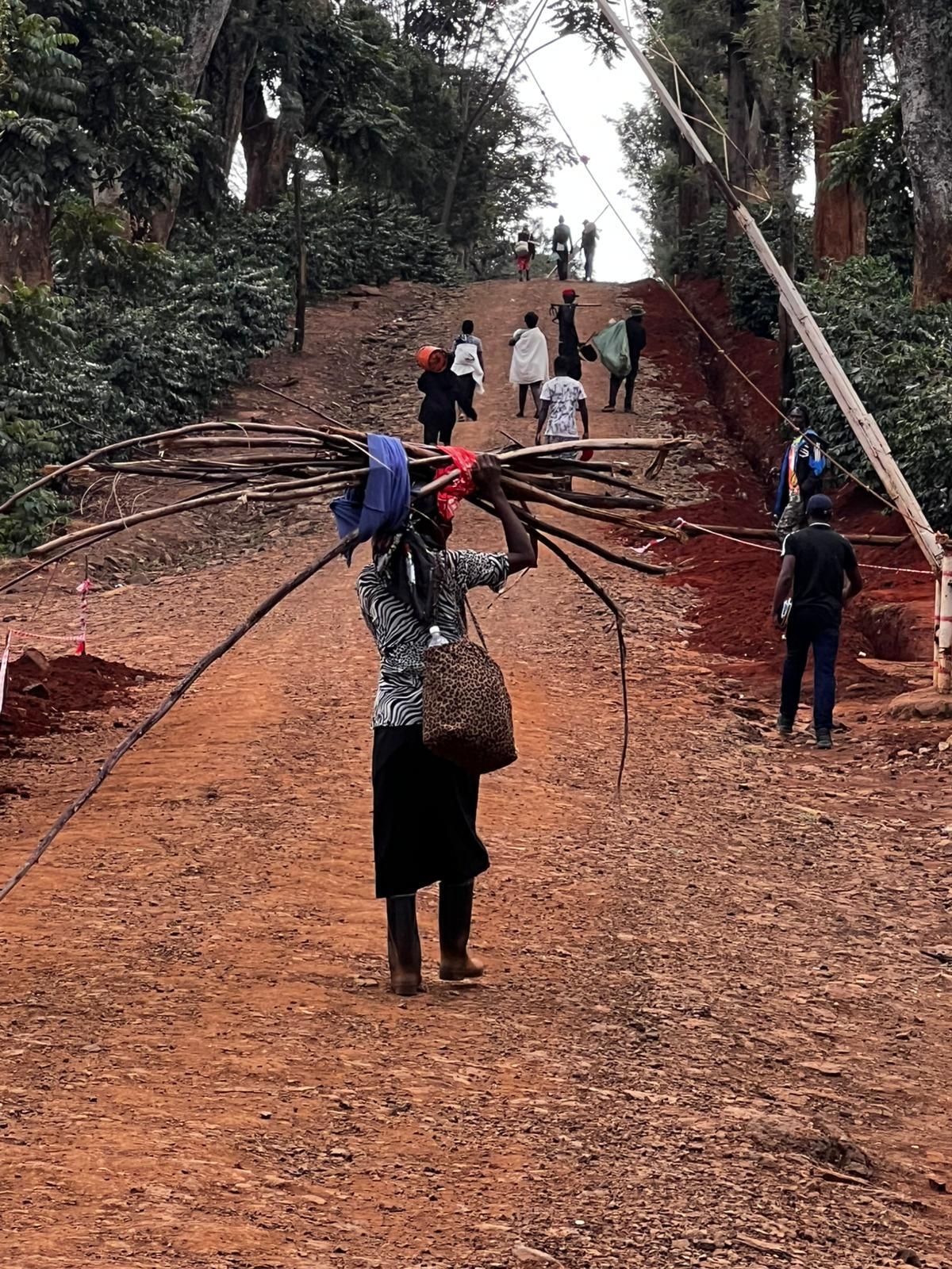 WhatsApp Image 2025-02-10 at 21 41 14 