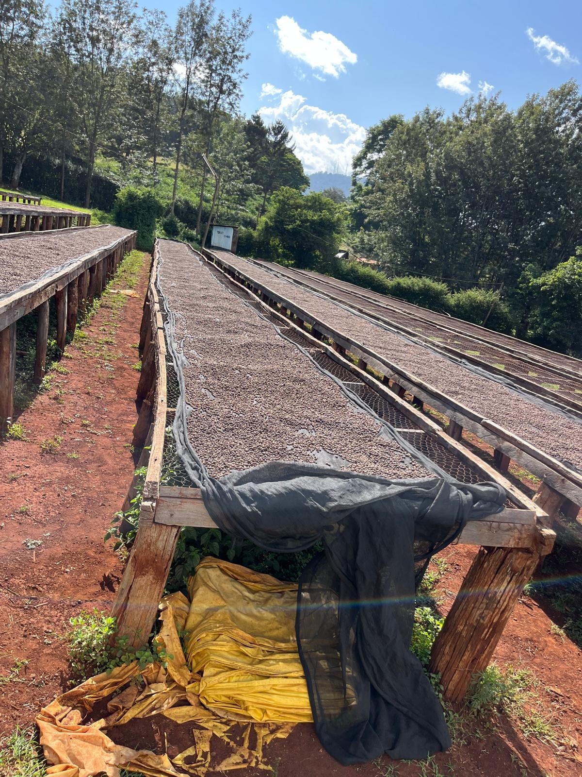 WhatsApp Image 2025-02-11 at 05 34 10 