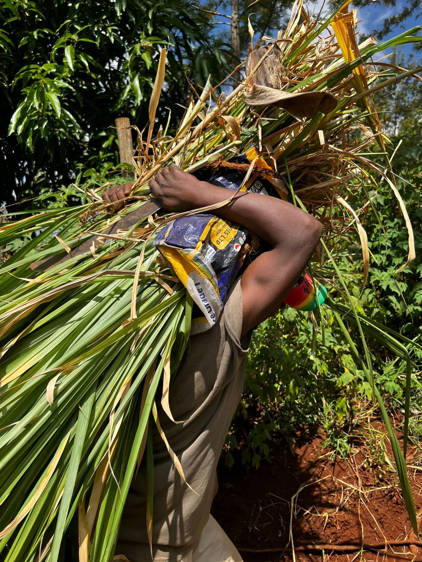 WhatsApp Image 2025-02-11 at 12 57 44 