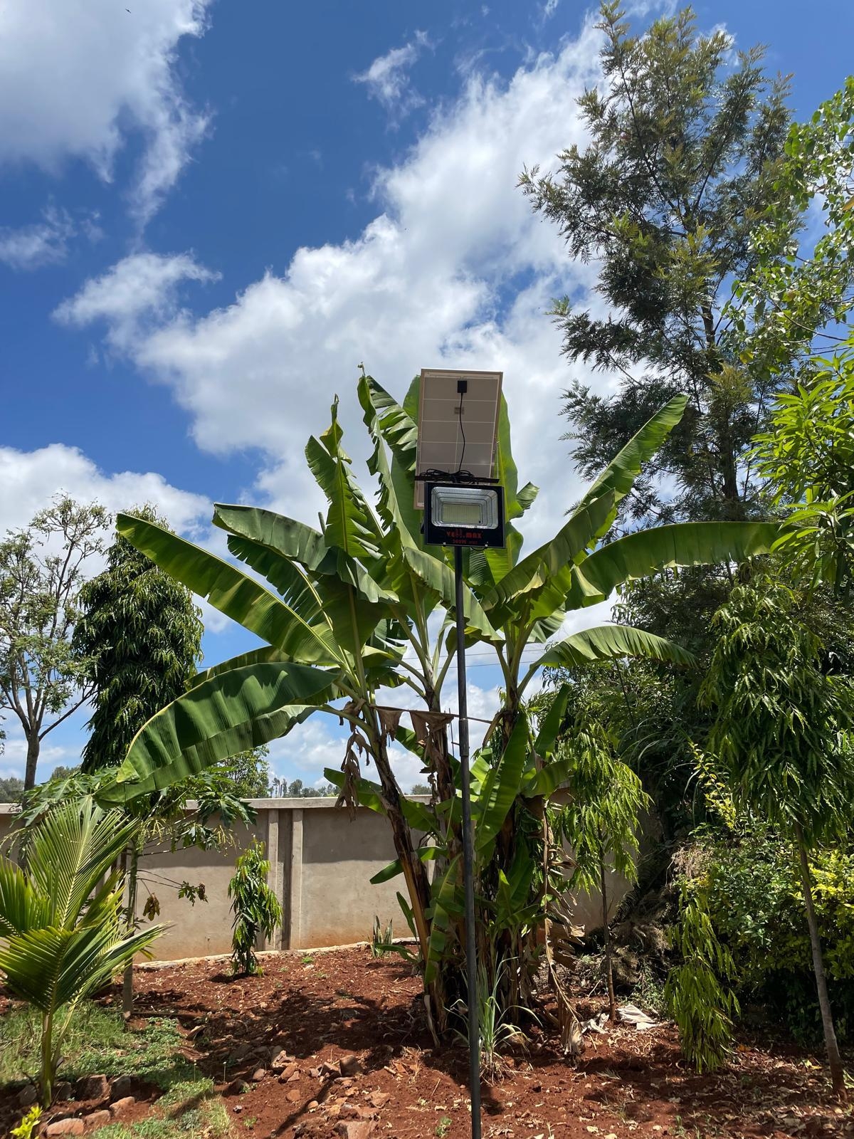 WhatsApp Image 2025-02-11 at 12 58 58(1) 