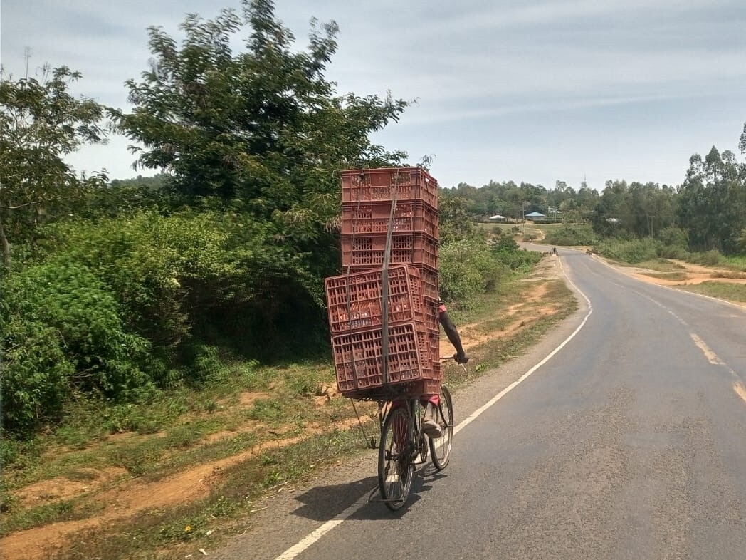 WhatsApp Image 2025-02-12 at 20 01 52 