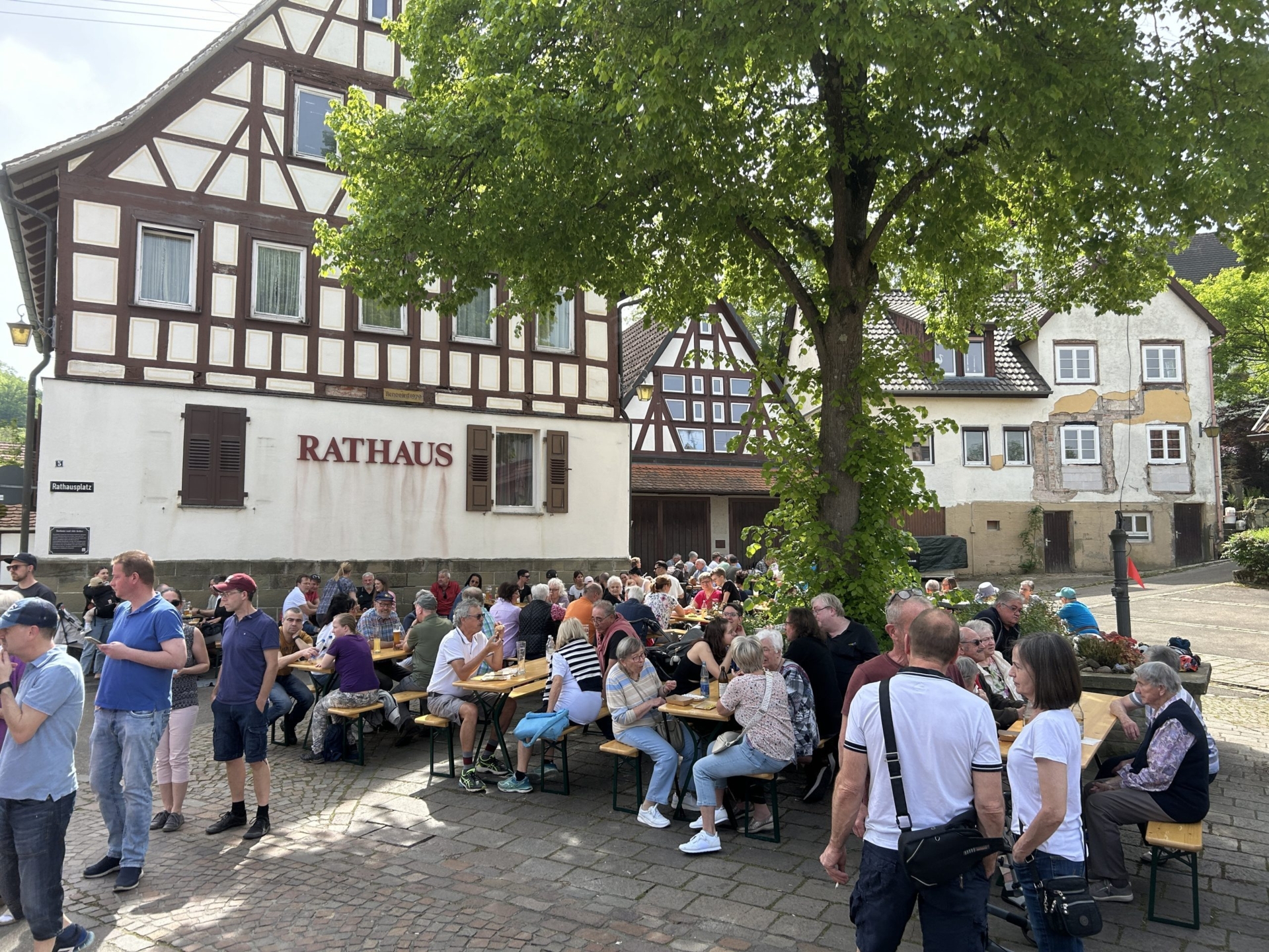 Bild der Galerie
