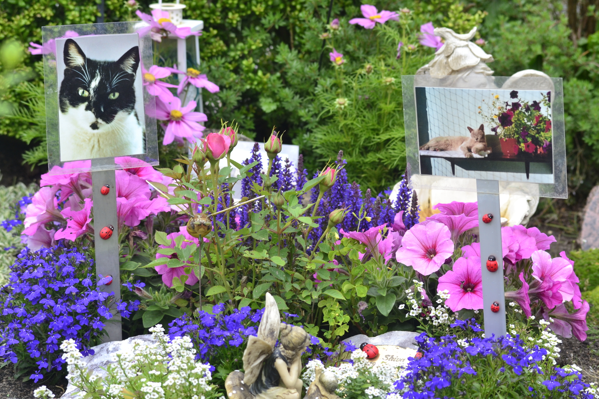 Zur Galerie: Tierfriedhof