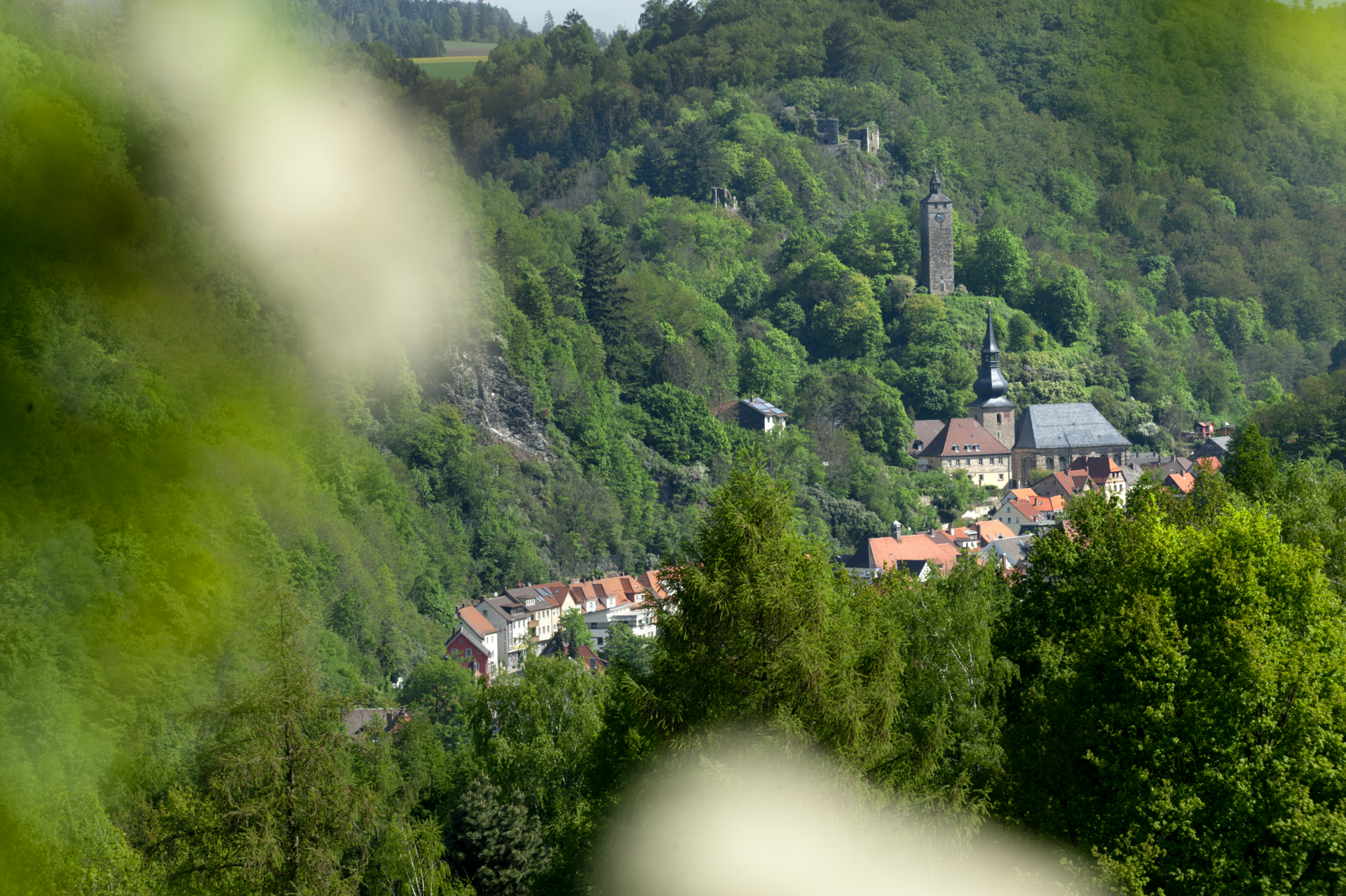 Foto der Galerie: Galerie