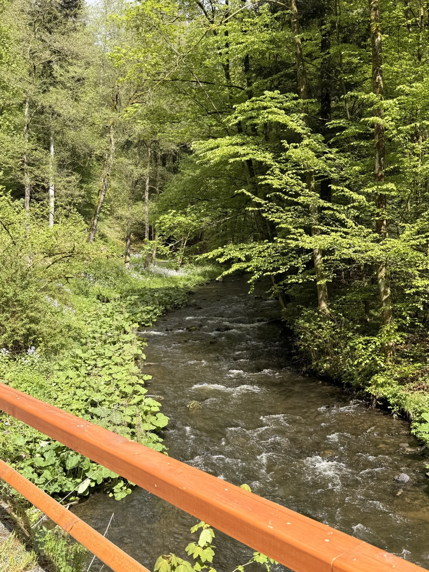 Foto der Galerie: Galerie