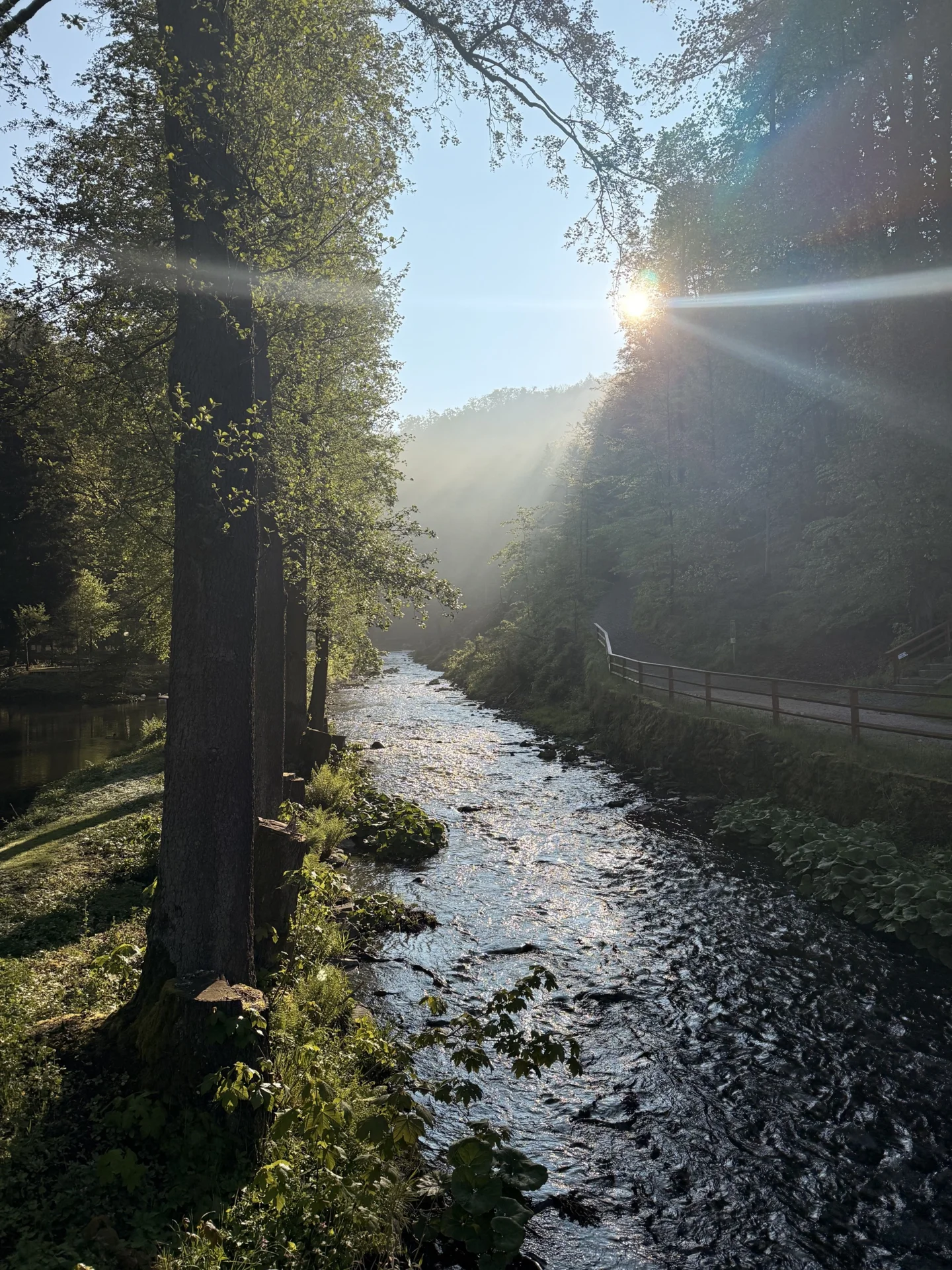 Foto der Galerie: Galerie