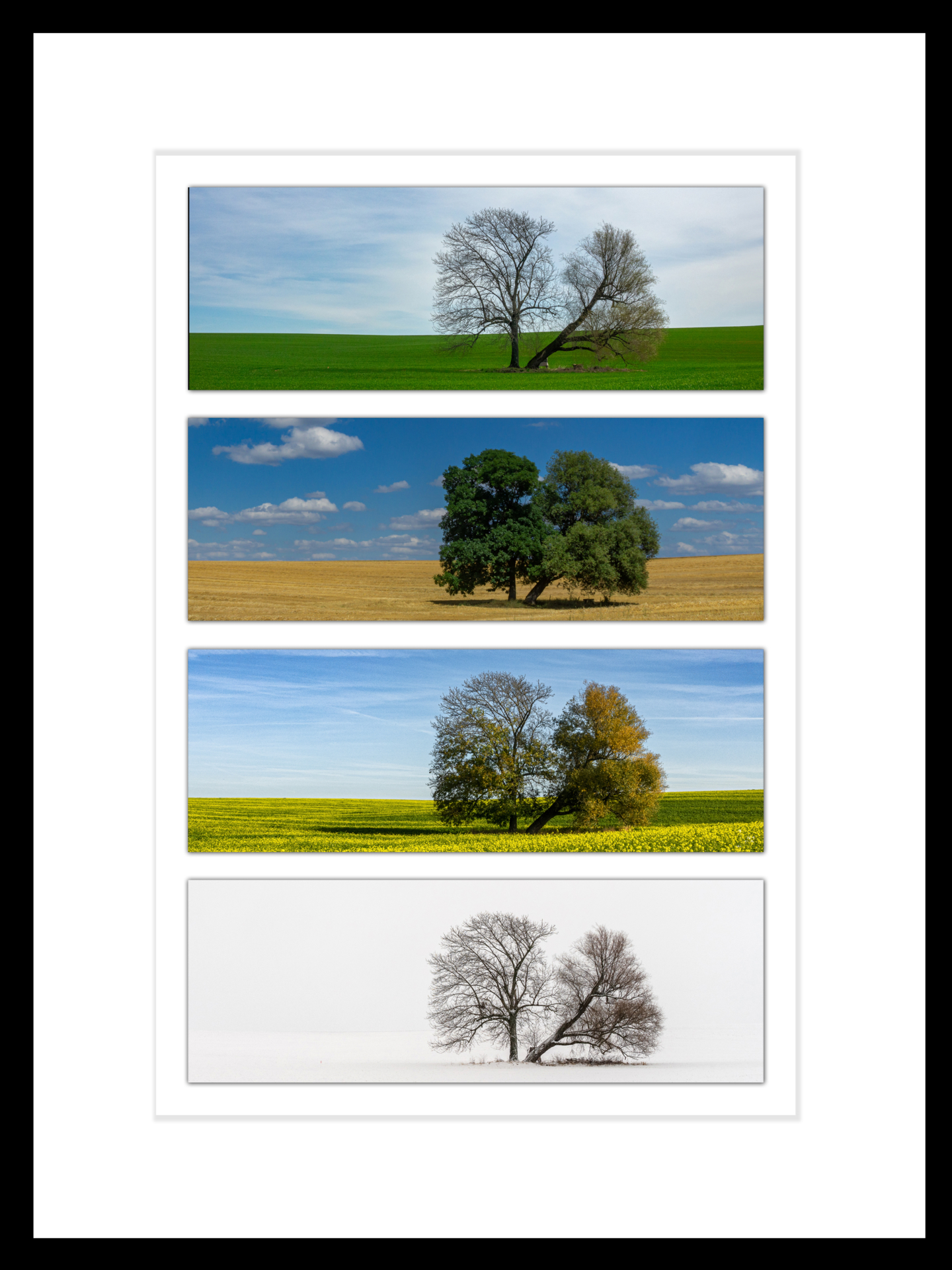 Raum3-Bild-07  (Bild vergr&ouml;&szlig;ern)