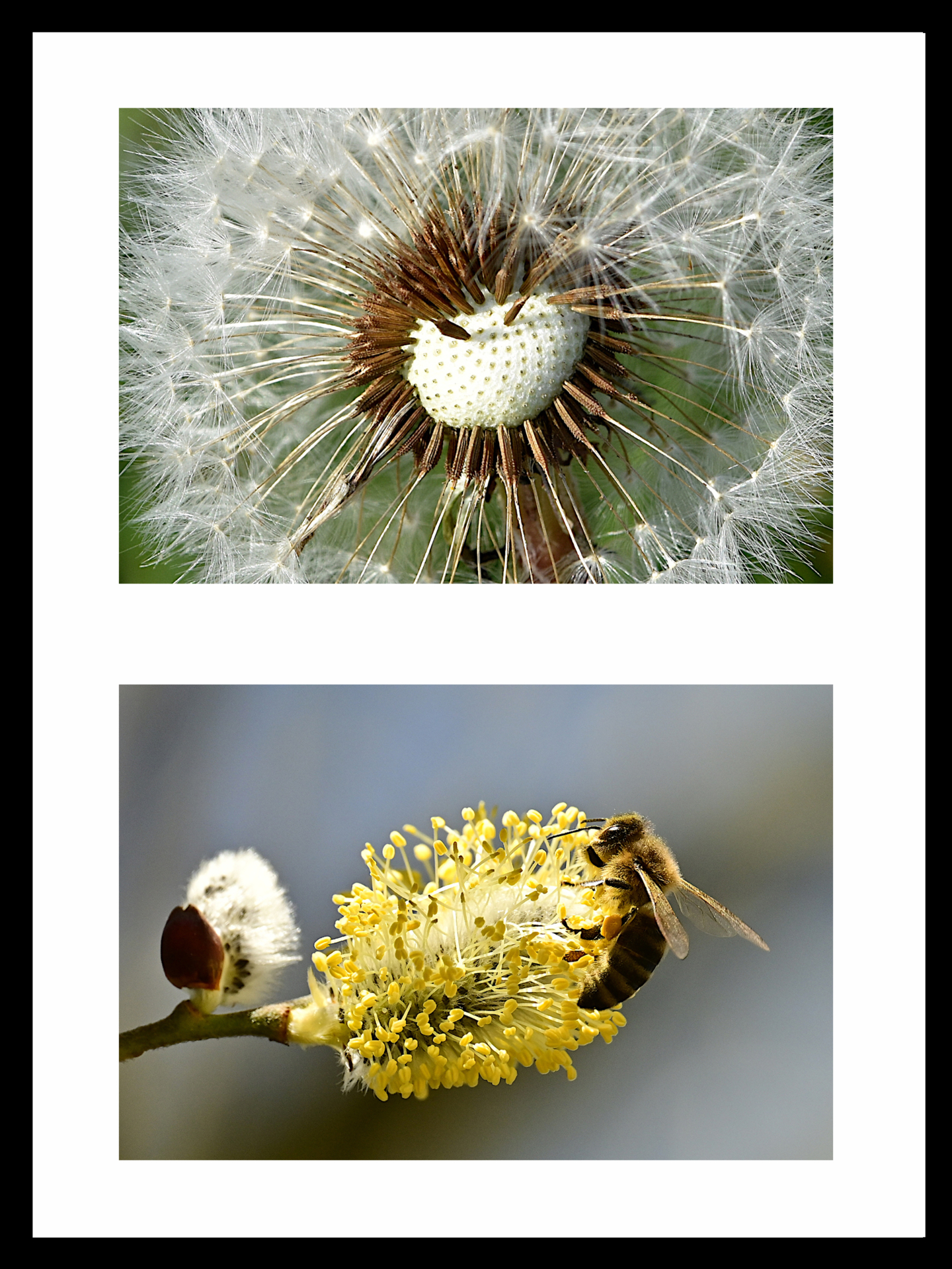 Raum 5 Bild-03  (Bild vergr&ouml;&szlig;ern)