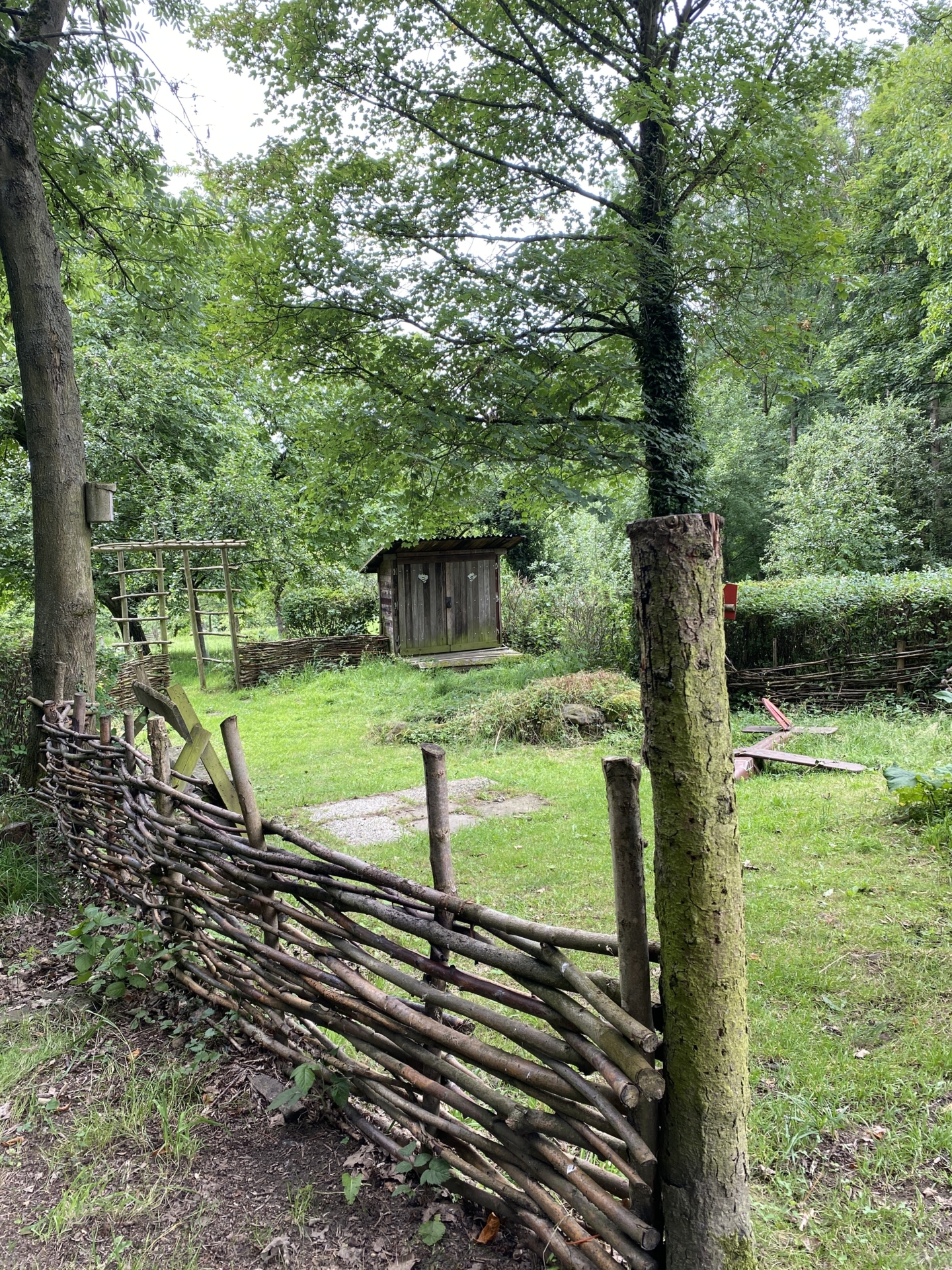 Bild : Bienenstand Stadtwald