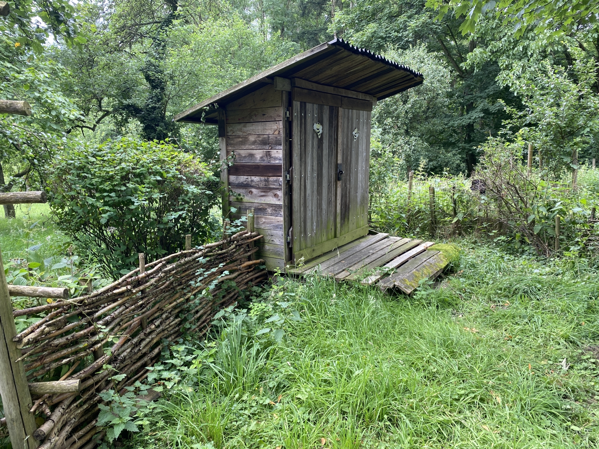 Bild : Bienenstand Stadtwald