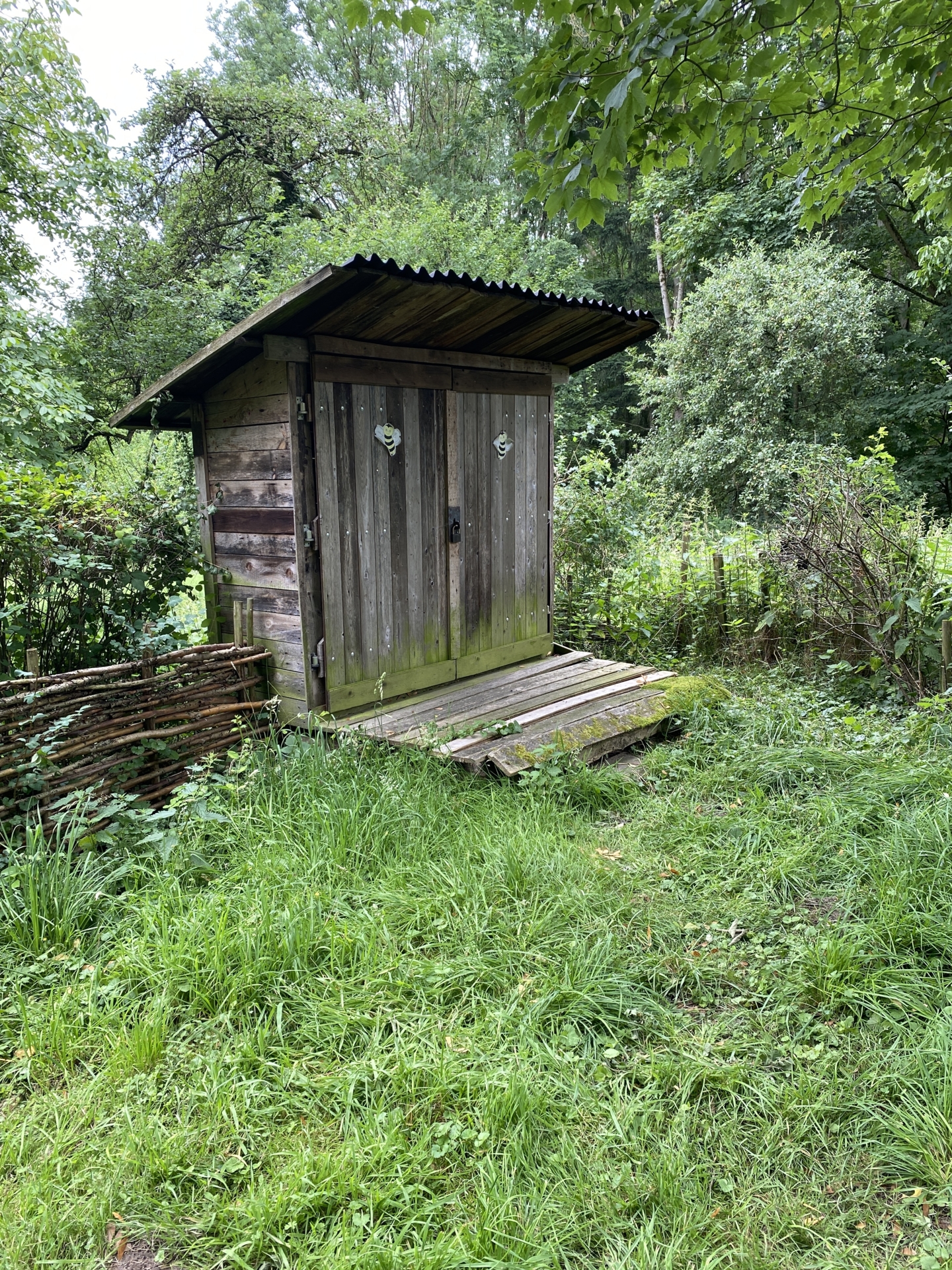 Bild : Bienenstand Stadtwald