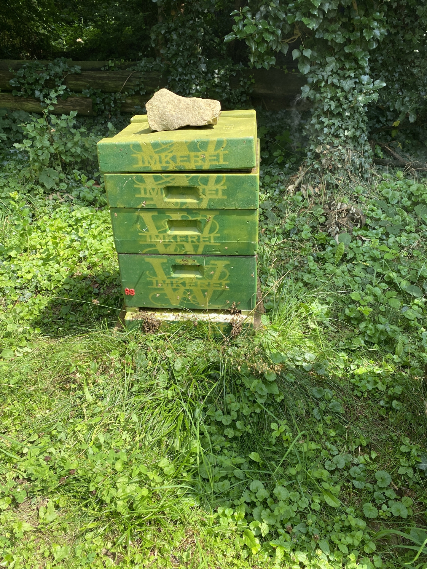 Bild : Bienenstand Lemgo