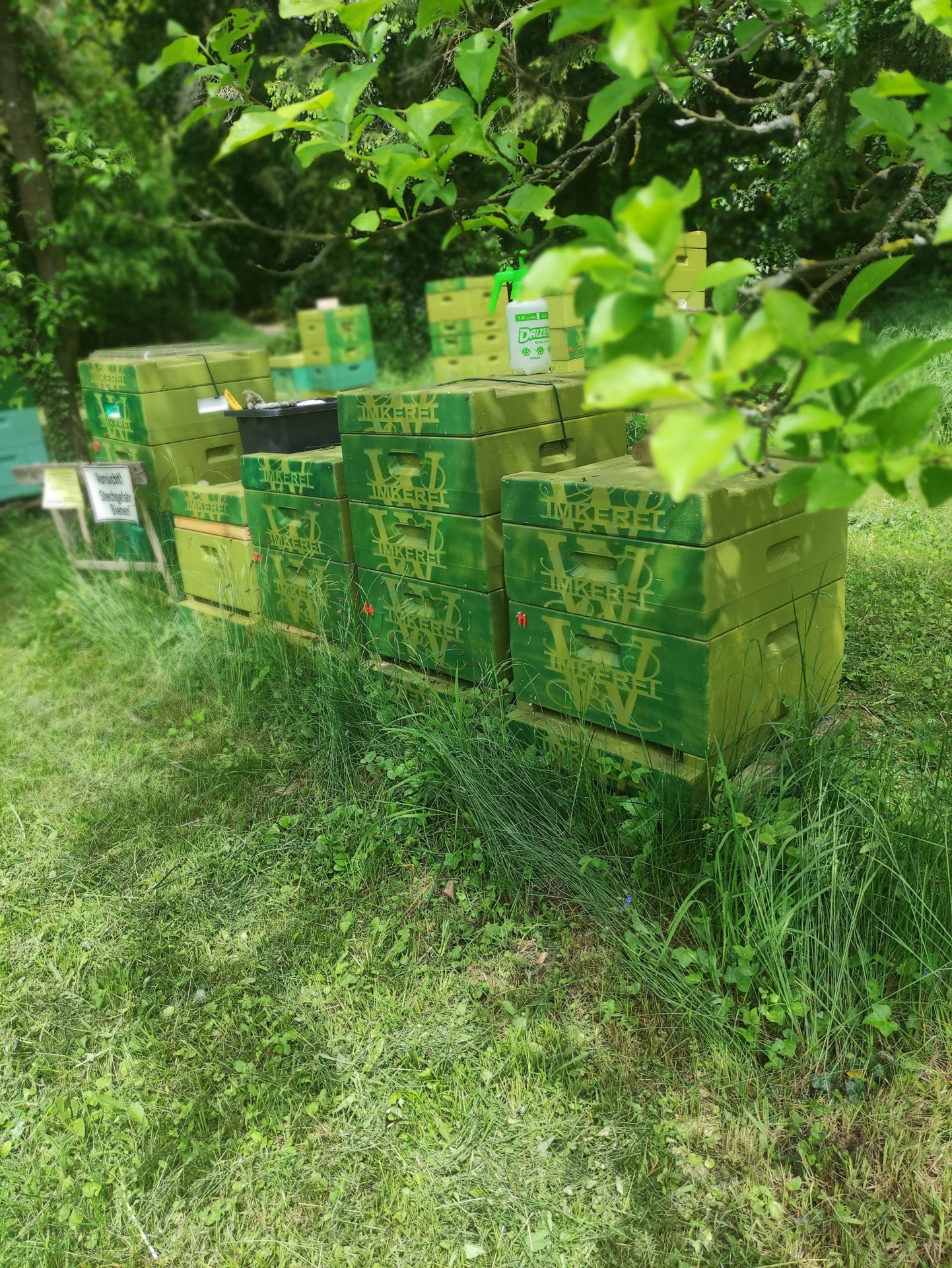 Bild : Bienenstand Lemgo