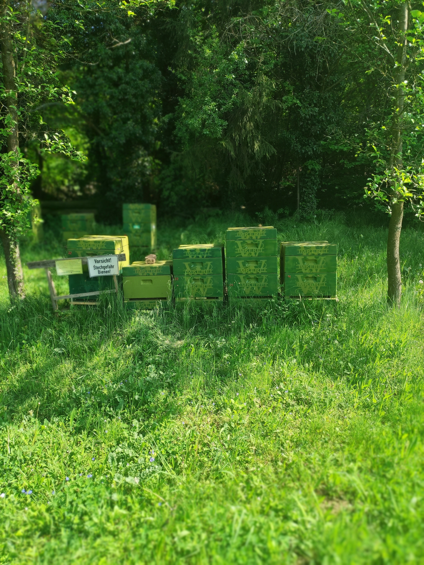 Bild : Bienenstand Lemgo