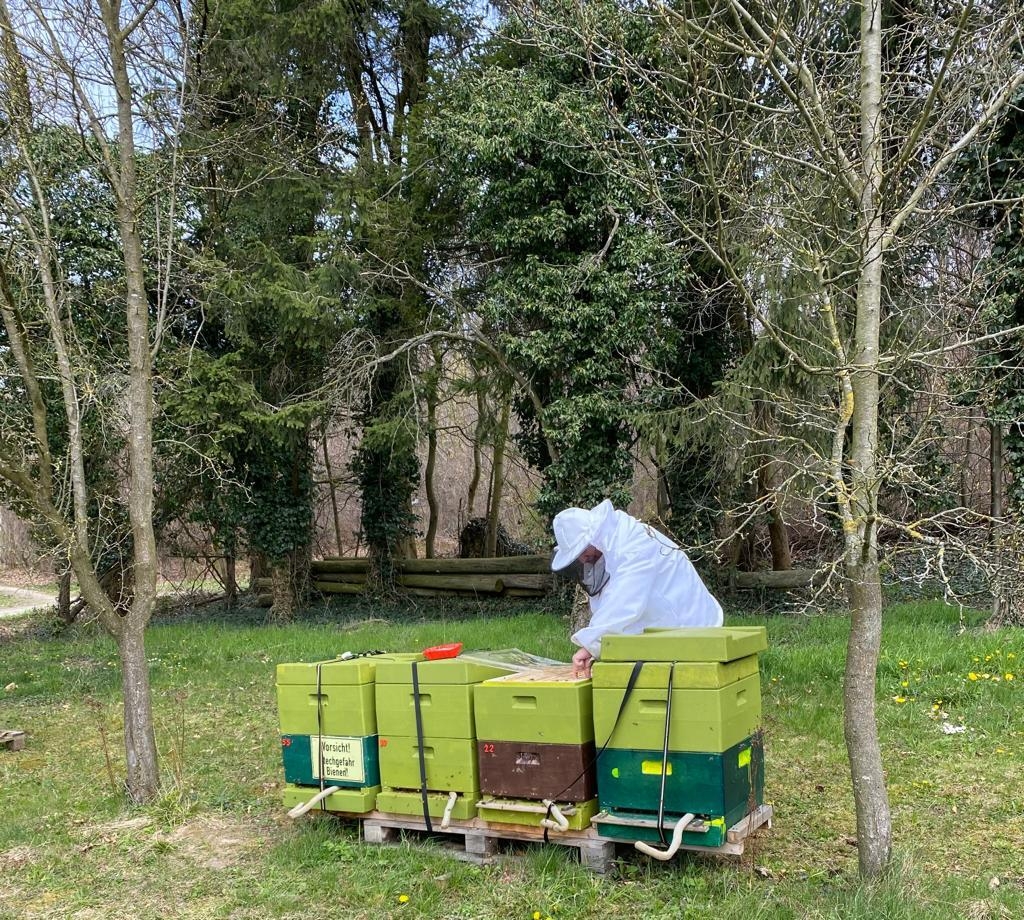 Bild : Bienenstand Lemgo