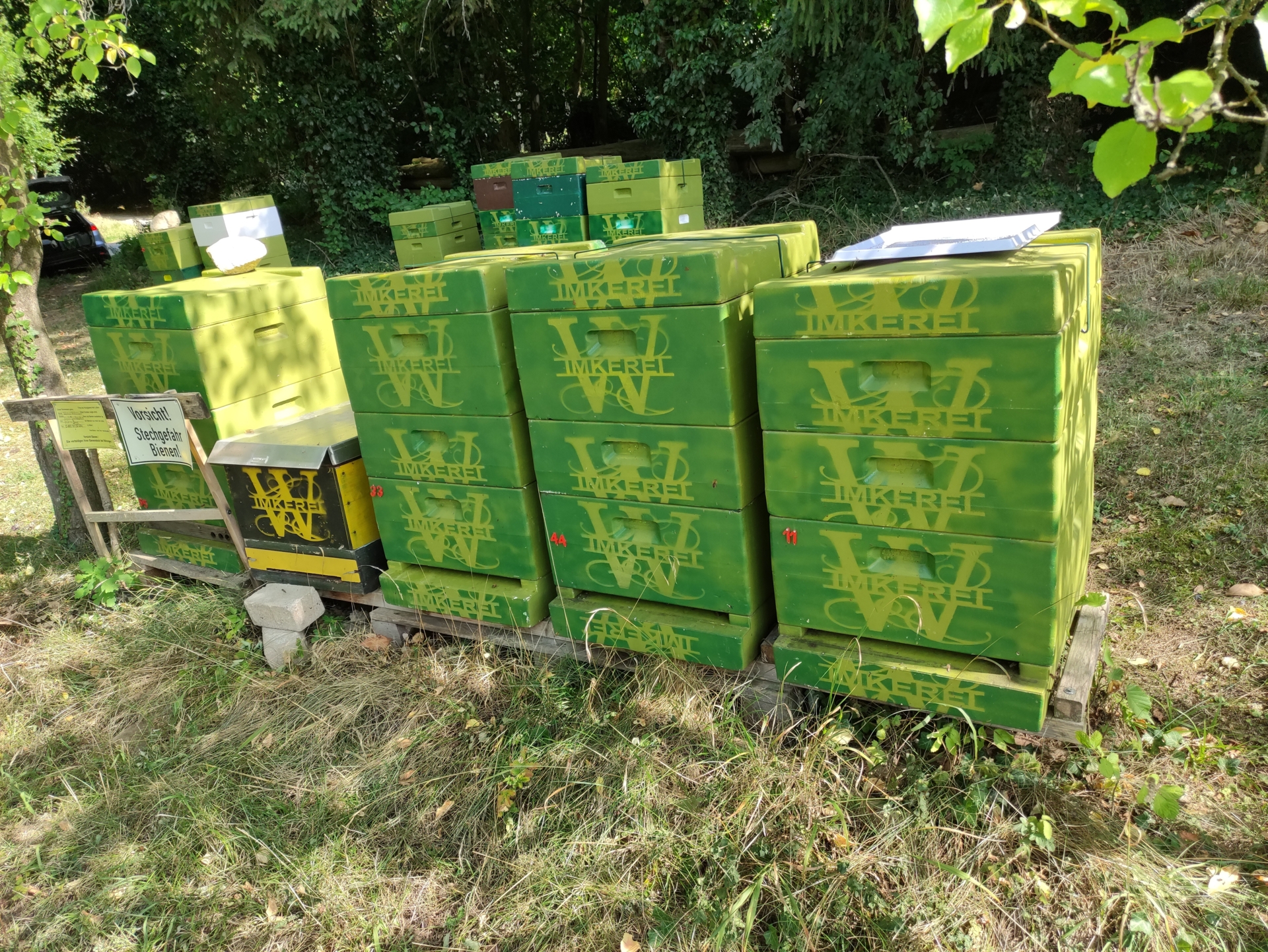 Bild : Bienenstand Lemgo