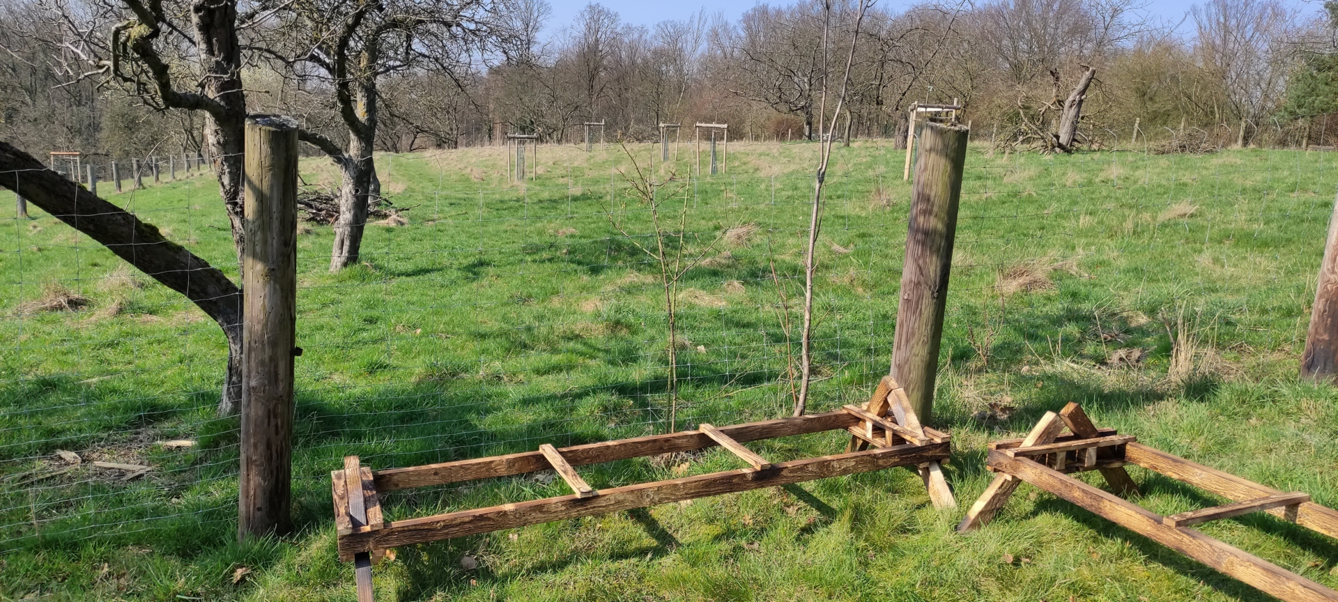 Bild : Bienenstand Lage